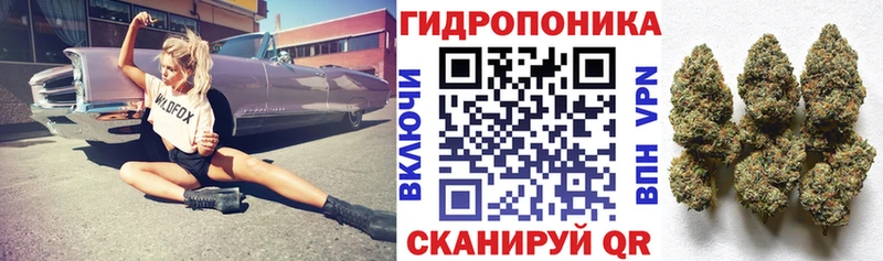Где можно купить наркотики Лениногорск Амфетамин COCAIN Псилоцибиновые грибы Альфа ПВП