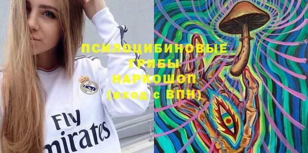 МДПВ Пересвет