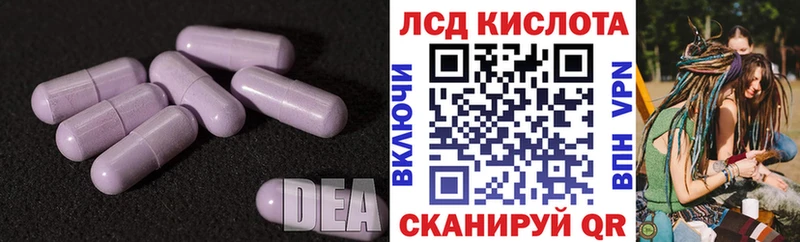 kraken онион  Лениногорск  LSD-25 экстази кислота 